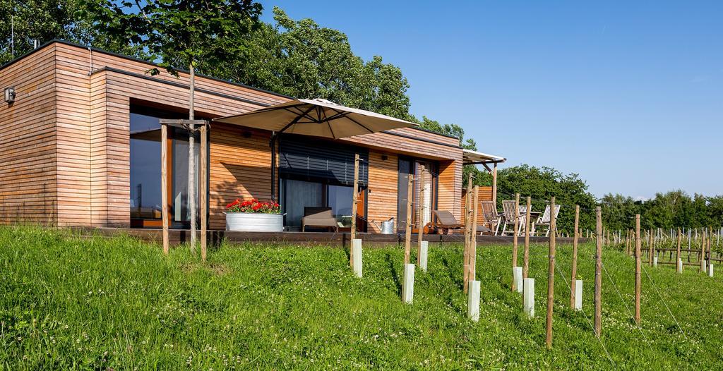 Weingarten-Resort Unterlamm Loipersdorf - Adults Only Ngoại thất bức ảnh